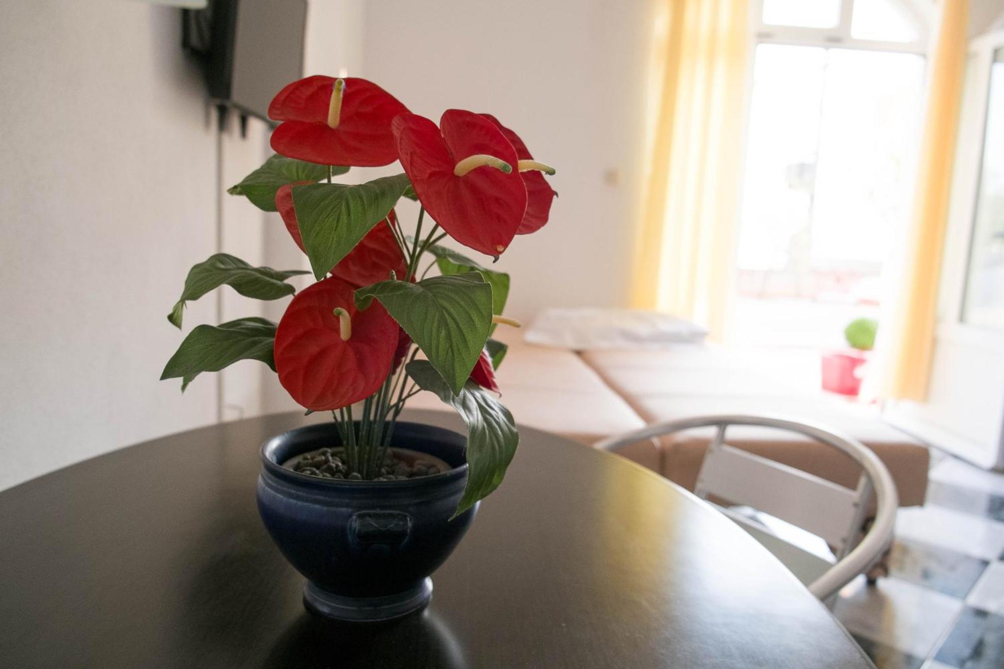 Apartments Damjanovic ماكارسكا الغرفة الصورة